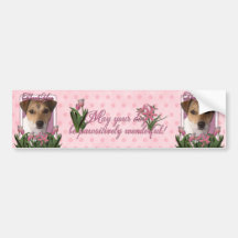 Thank You - Pink Tulips - Jack Russell Bumper Stickers