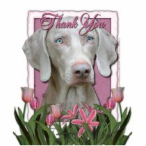 Thank You - Pink Tulips - Weimeraner - Blue Eyes