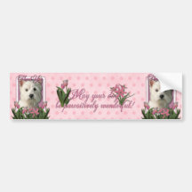 Thank You - Pink Tulips - West Highland Terrier Bumper Sticker