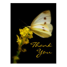 Thank You Post Card
