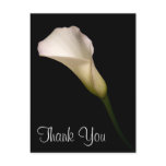 Thank You Post Cards