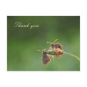 Thank you postcards