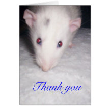 thank you rat card