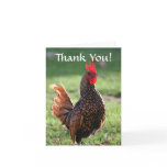 Thank You, Rooster cards
