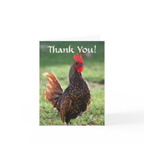 Thank You, Rooster Greeting Cards