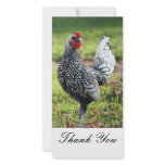 Thank You, Rooster Photo Card photo cards
