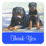 Thank You Rottweiler Puppy Dog Greeting Sticker