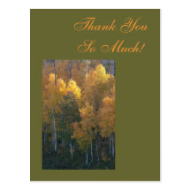 Thank You So Much! Post Cards