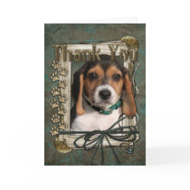 Thank You - Stone Paws - Beagle Puppy