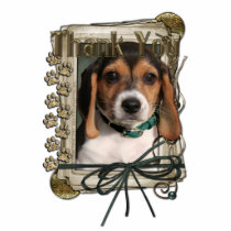 Thank You - Stone Paws - Beagle Puppy