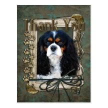 Thank You - Stone Paws - Cavalier Postcard