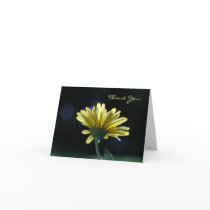 Thank You Sunlit Yellow Daisy Beautiful Flowers