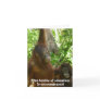 Thank You, Teacher:  Encouragement Cards