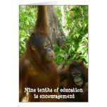 Thank You, Teacher:  Encouragement Cards