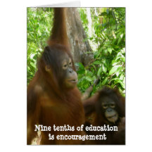 Thank You, Teacher:  Encouragement Cards