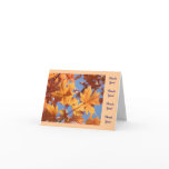 Thank You Thank You Note Cards Autumn Leaves