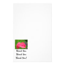 Thank You Thank You Thank You Stationery