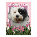 Thank You - Tibetan Terrier Postcards