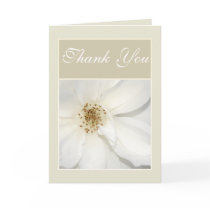 "Thank you" white beige flower floral rose