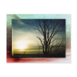 Thankful for You! postcards