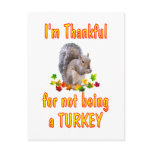 Thankful Squirrel postcards