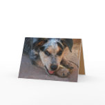 Thanks from My Heart Cattle Dog Pup Card - Western