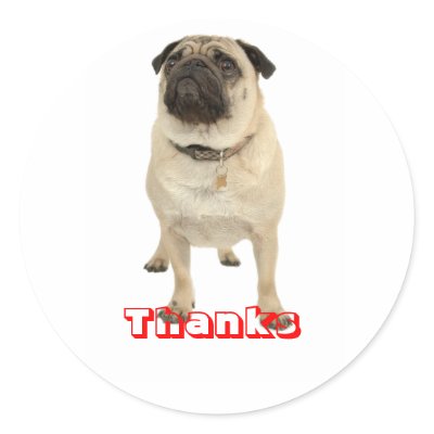 Thanks Greeting Pug Puppy Dog Stickers