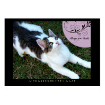 Thanks Life Lessons From A Cat ACEO Art Cards Business Card Template