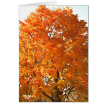 Thanksgiving Across the Miles Cards