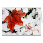Thanksgiving Canada Greeting Card