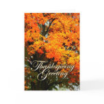 Thanksgiving cards