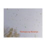 Thanksgiving Golden Blessings Post Cards