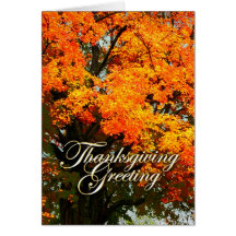 Thanksgiving Greeting Card