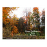 Thanksgiving Greeting from Canada-Autumn Colours Post Card