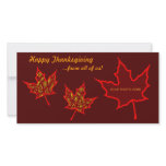 Thanksgiving Leaves photo cards