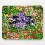Thanksgiving Mouse Mats