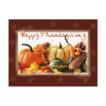 Thanksgiving Postcard