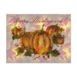 THANKSGIVING PUMPKIN PATCH by SHARON SHARPE postcards