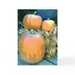 Thanksgiving Pumpkins Greeting Card