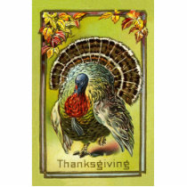 Thanksgiving Turkey Pin Acrylic Cut Outs