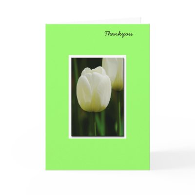 thankyou card by mezrose