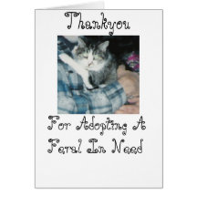 Thankyou-Feral Cat Greeting Card