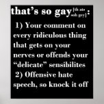 That's So Gay Posters