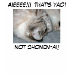 That's yaoi not shonen-ai t-shirts