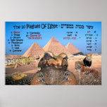 The 10 Plagues Of Egypt - English & Hebrew posters