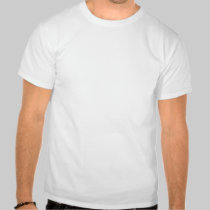 The 1969 AMX t-shirts