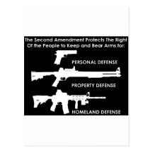 The 2nd Amendment Protects... Postcard