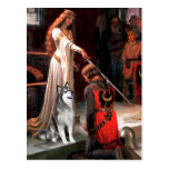 The Accolade - Alaskan Malamute Postcard
