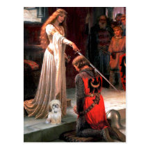 The Accoloade - Shih Tzu (P) Postcards