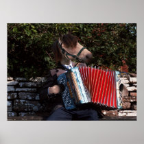 The accordian player poster